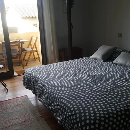 Margouillat D'hote *