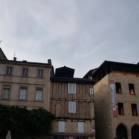 Margouillat D'hote * Figeac