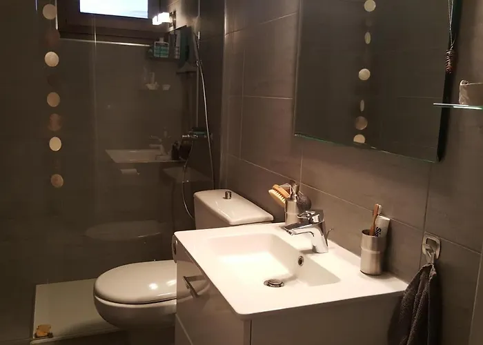 Margouillat D'hote *